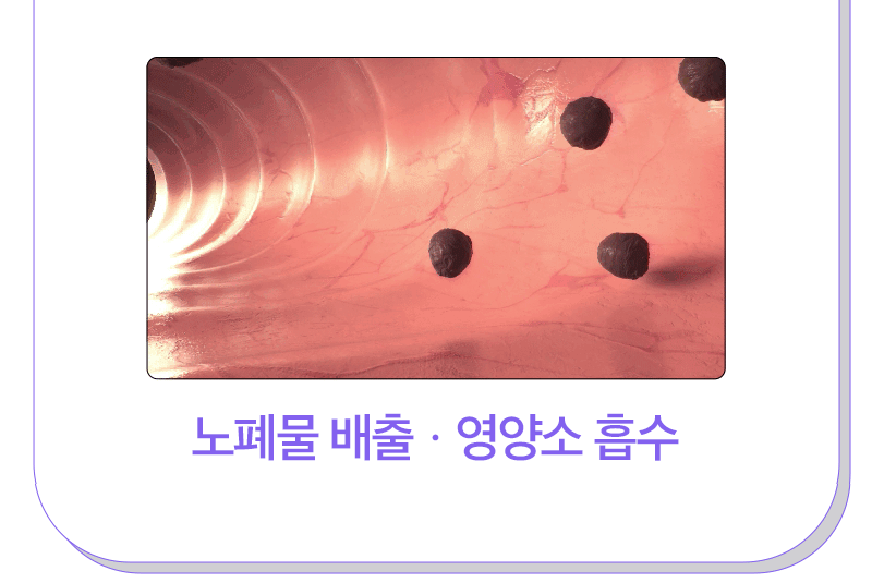 9e2233bfecb51e2299966068b3202f0b_1735455279_0461.gif 9e2233bfecb51e2299966068b3202f0b_1735455279_0461.gif